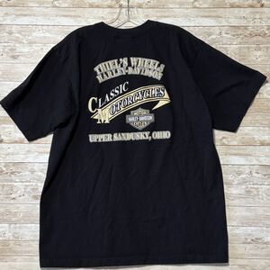 Harley Davidson Upper Sandusky, OH Vintage T-Shirt Mens XL 2005